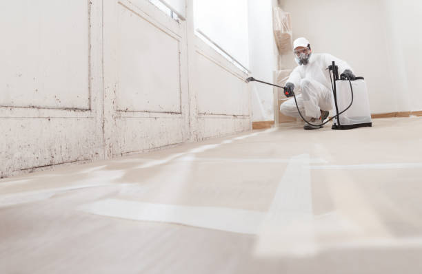 24/7 Emergency Bathroom Mold Removal experts in Hendersonville, TN