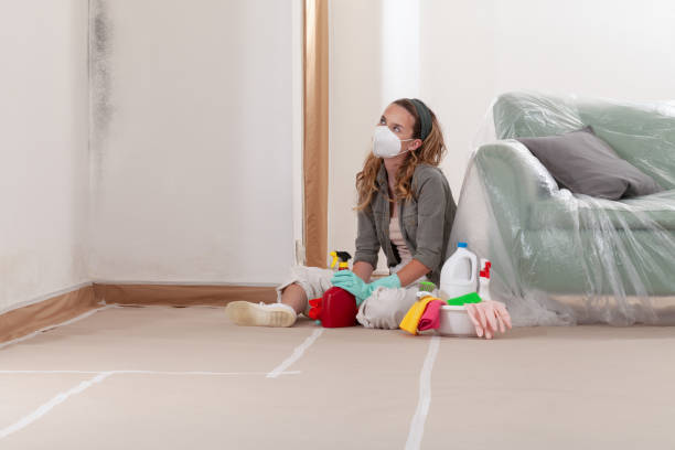 Reliable Bathroom Mold Removal contractor in Hendersonville, TN by Mold Remediation HQ